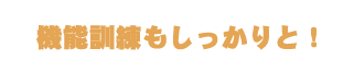 機能訓練もしっかりと！